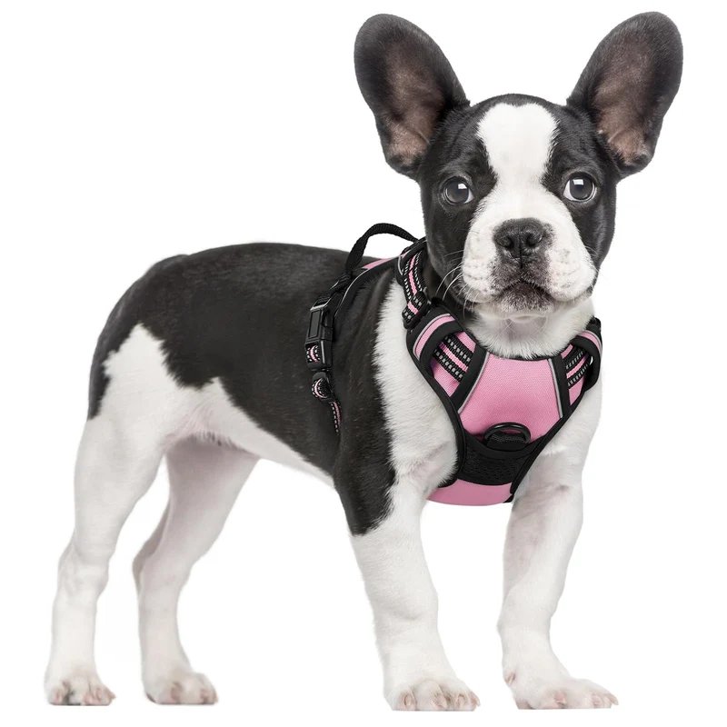 Harnais Rabbitgoo pour chien sans tirage - 2 attaches, rembourrage doux, réfléchissant, poignée de contrôle, Rose, Taille S
