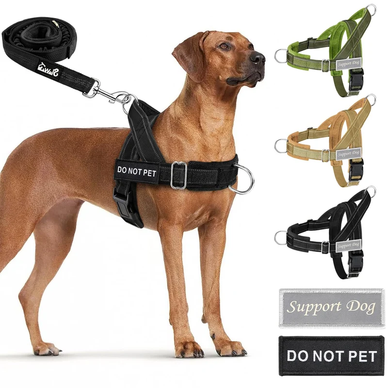 SlowTon Harnais Chien Sans Traction — Lourd et Durable (Noir, L)