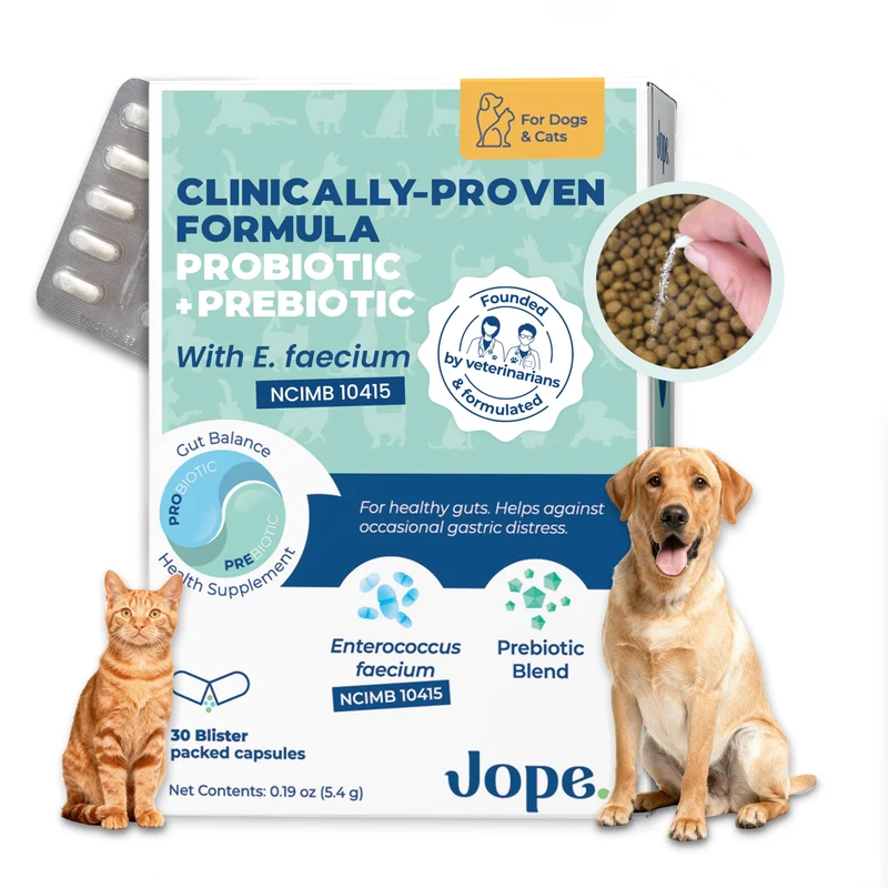 Jope Synbiotic GB-01® – Prébiotiques et Probiotiques pour Chiens et Chats – Formule Clinique Vet Formulée pour Santé Digestive, Selles et Immunité – 30 Capsules en Poudre