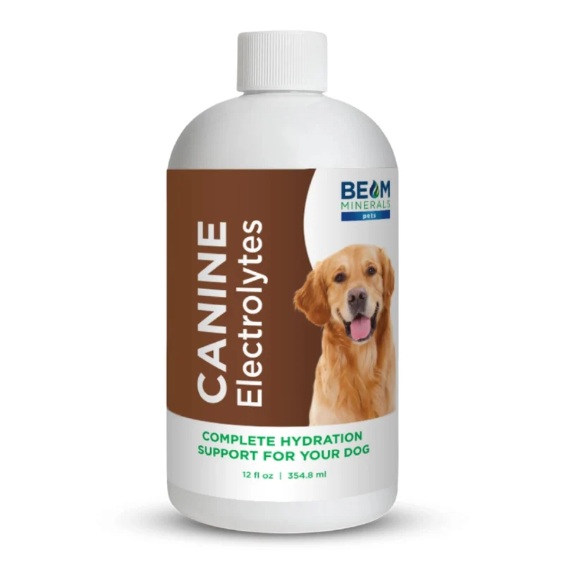 BEAM MINERALS – Électrolytes Canins Complets | Électrolytes à spectre complet pour chiens | 12 oz
