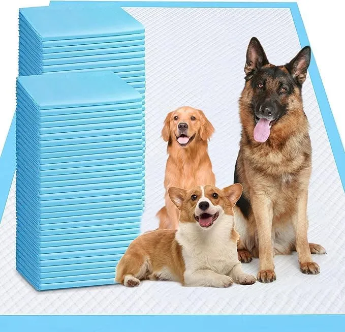 Odorless XXXXL Couches Pipi Chiots 31x47 po · 40 pièces — Ultra Absorbantes et Imperméables
