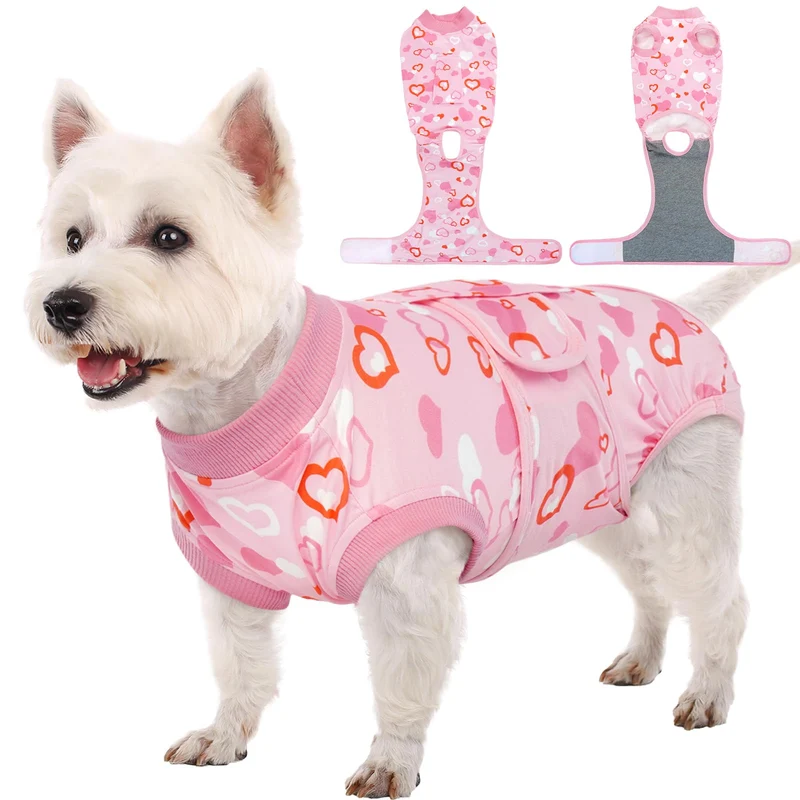 Kuoser Survetement de rétablissement chien et chat — convalescence post chirurgie