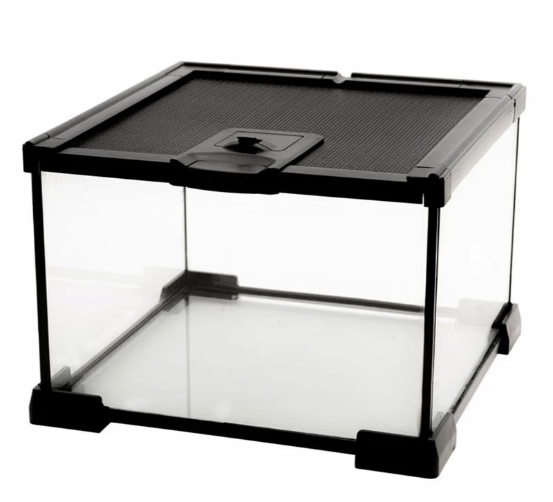AWXZOM Mini Terrarium en Verre 7,9x7,9x5,7 pouces – Cage Reptiles et Invertébrés, Vision 360°