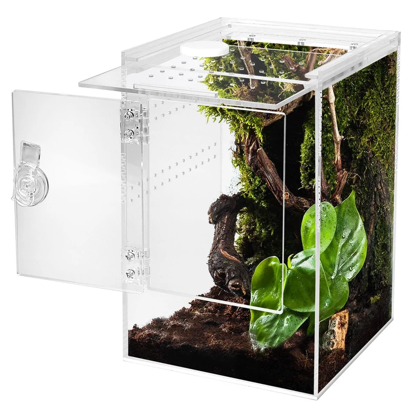 Smartang Enclos Tarentule Arboricole Vertical – Ouverture Frontale