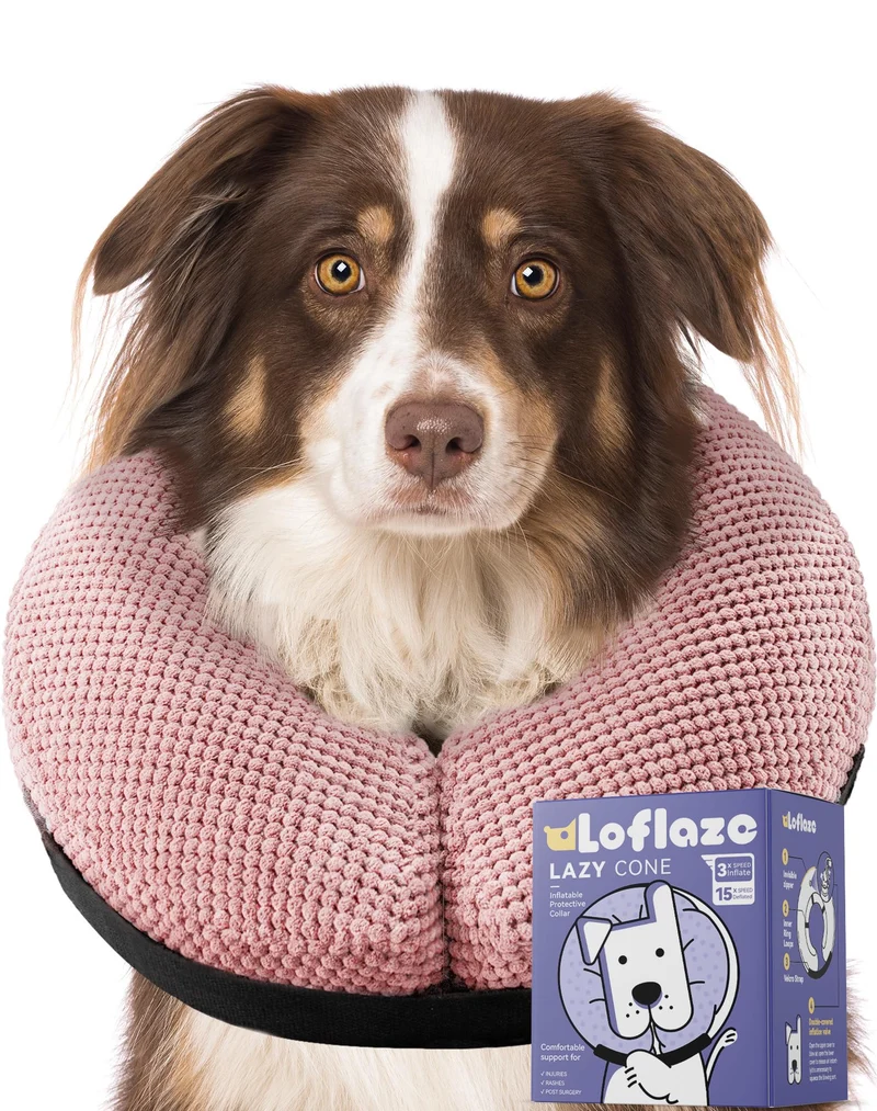 Loflaze Collier Gonflable Souple – Confort après Chirurgie pour Chiens et Chats