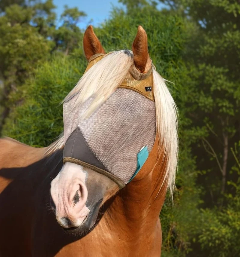 The Sunny Zebra – Masque anti-mouches pour chevaux (UV 70%), maillage respirant et padding en fleece – taille cheval