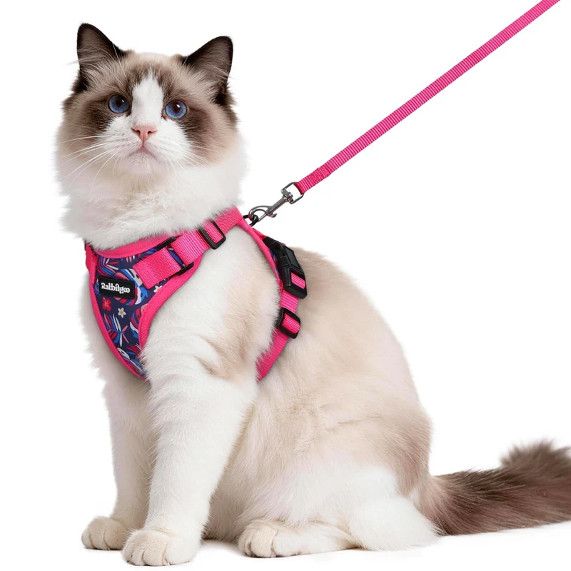 Rabbitgoo Harnais et Laisse pour Chat — Anti‑Échappement, Confort Respirant, Bandes Réfléchissantes — Coconut Fuchsia, M