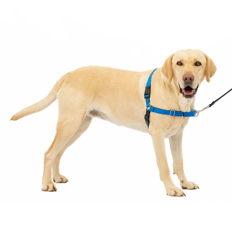 PetSafe Easy Walk Harnais Anti-Tirage pour Chien – Grand, Bleu Royal / Bleu Marine