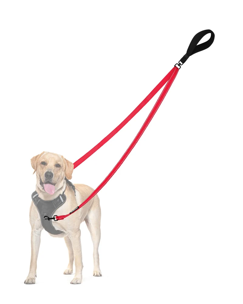 PetBonus Laisse Deux Points de Contrôle – Confort et Sécurité pour Chiens Moyens à Grands (Rouge)