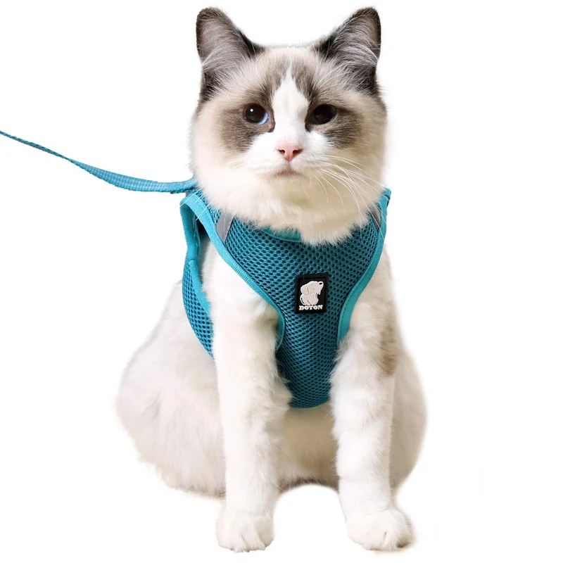 HEYWEAN Harnais et Laisse pour Chat — Ultra Léger et Anti-Évasion, Confort et Sécurité