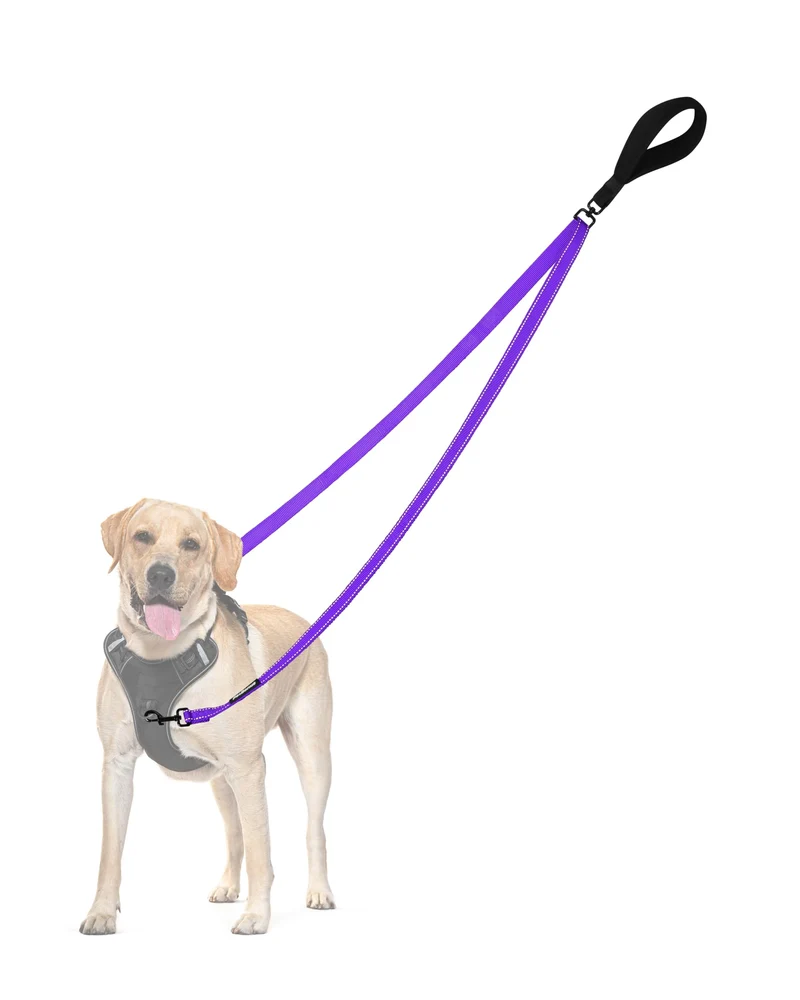 PetBonus Longe pour Chien à Deux Points de Contrôle — Poignée Douce, Anti-Enchevêtrement, Réfléchissante (Violet)
