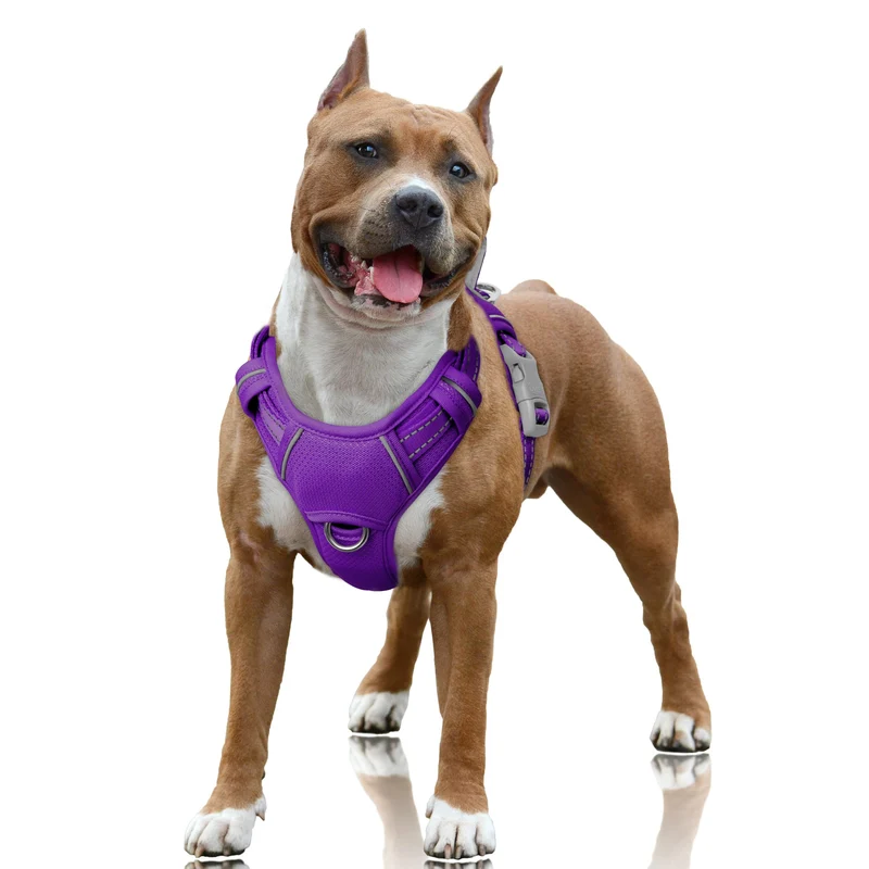 Harnais anti-traction BarkBay pour chien — réfléchissant, clip avant, poignée de contrôle et poche d'identification (violet, taille L)