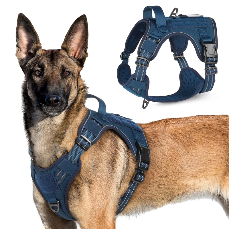 rabbitgoo Harnais Tactique pour Chiens de Grande Taille – Gilet Militaire avec Poignée et MOLLE, Réflectif Bleu, XL