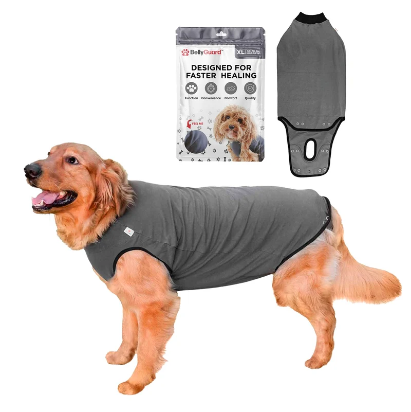 BellyGuard – Combinaison de récupération pour chien après chirurgie | Vêtement postopératoire
