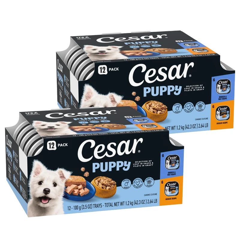 CESAR Chiot Classic – Variétés en Sauce et Filets en Gravy pour Chiots, Poulet & Boeuf, 3,5 oz, Barquettes à Ouverture Facile, Lot de 12 (2 paquets)