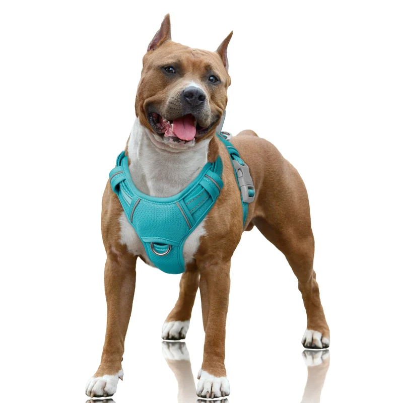 Harnais BarkBay Pas-Tir pour Chien – Clip Frontal, Réfléchissant, Poche ID | Ocean Blue, Taille Large