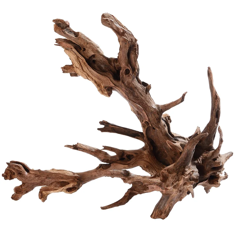 majoywoo Grand bois flotté naturel pour aquarium et terrarium – 13 à 17 po