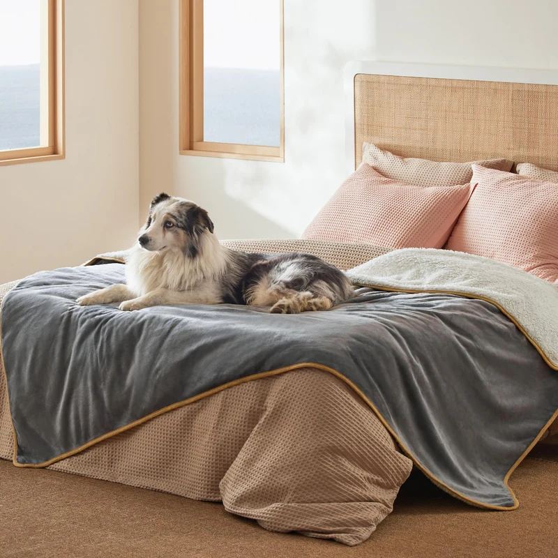 Bedsure Couverture Imperméable pour Lit Twin 80x60 – Sherpa Gris, Idéale pour Chiens de Grande Taille
