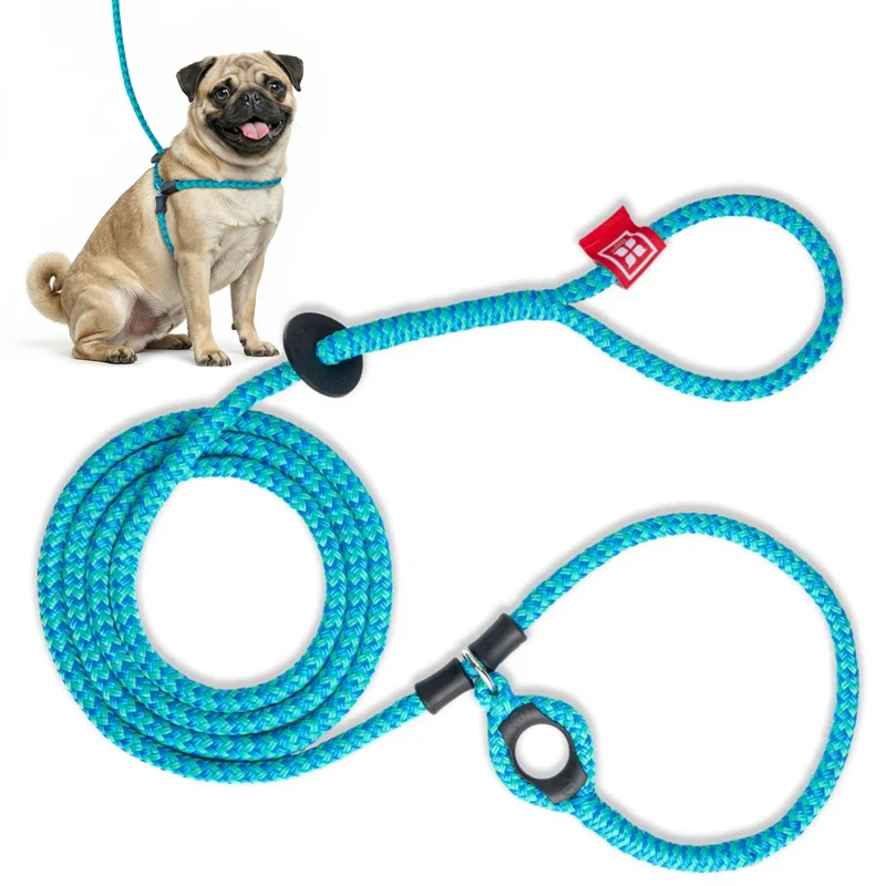 Harness Lead – Harnais anti-tirage et laisse pour chiens, toutes tailles, design en corde rembourrée (Petit/Moyen, Bleu/Multi)