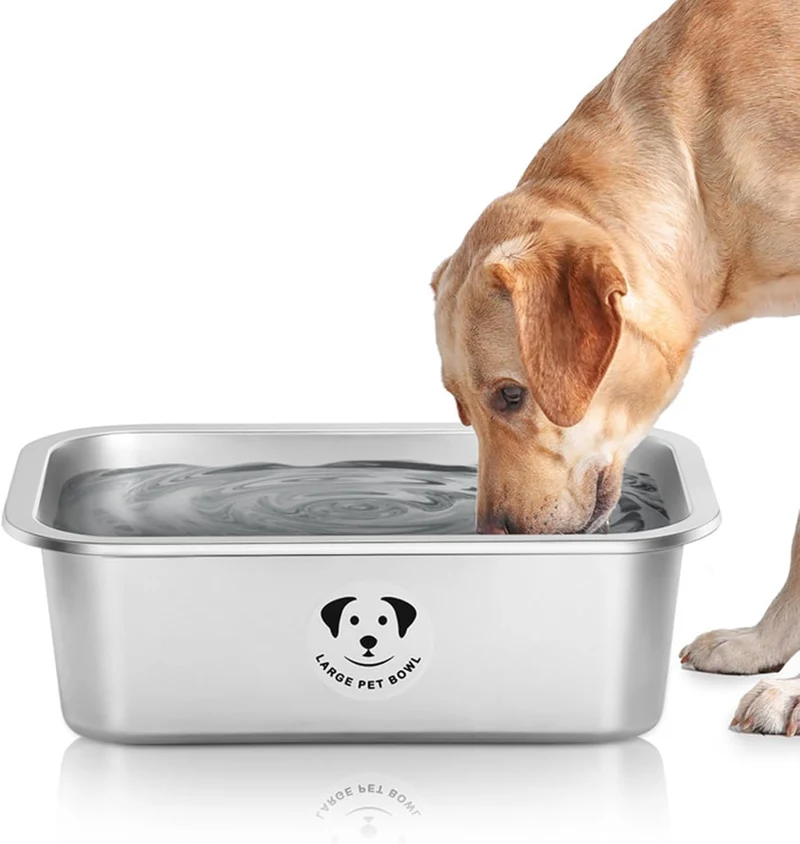 GIXSEGIE Bols en acier inoxydable pour grands chiens – grande capacité 4,2 galons US