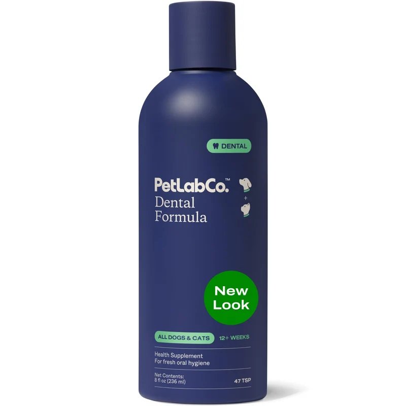 PetLab Co Formule Dentaire Chiens & Chats – Additif Eau Dentaire pour Dents Propres et Haleine Fraîche