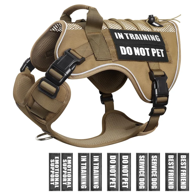 WINSEE Harnais mesh pour chien d'assistance en formation – 10 patches, MOLLE et réflectif
