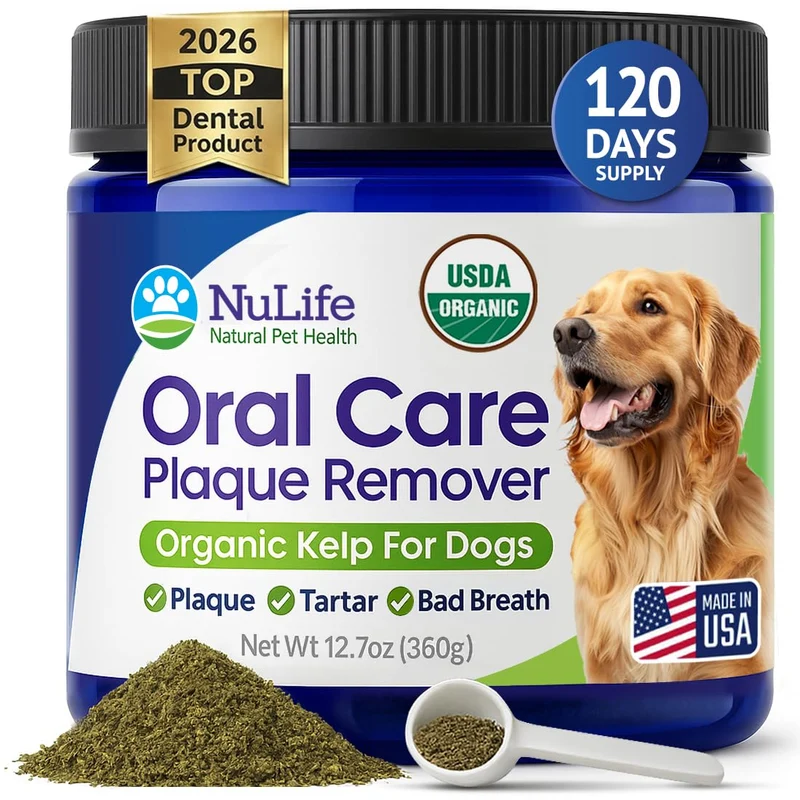 NuLife Poudre Dentaire pour Chien – Kelp Bio USDA, Sans Brosse, 340 g