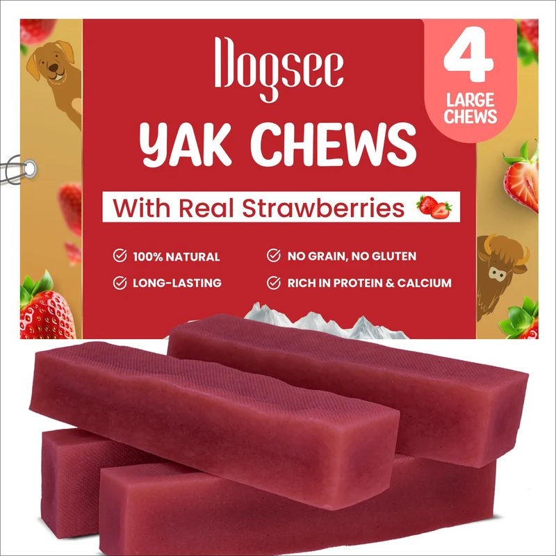 Dogsee friandises yak au fromage et fraise – Grand format (4 barres) pour chiens | Immunité, dents et longue durée