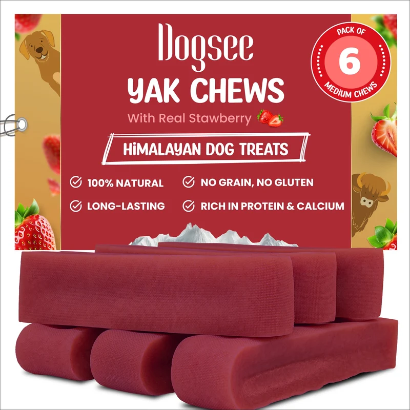 Dogsee Fraise – Friandises Dentaires Yak pour Chiens 1 livre | Sans gluten, sans céréales, sans odeur