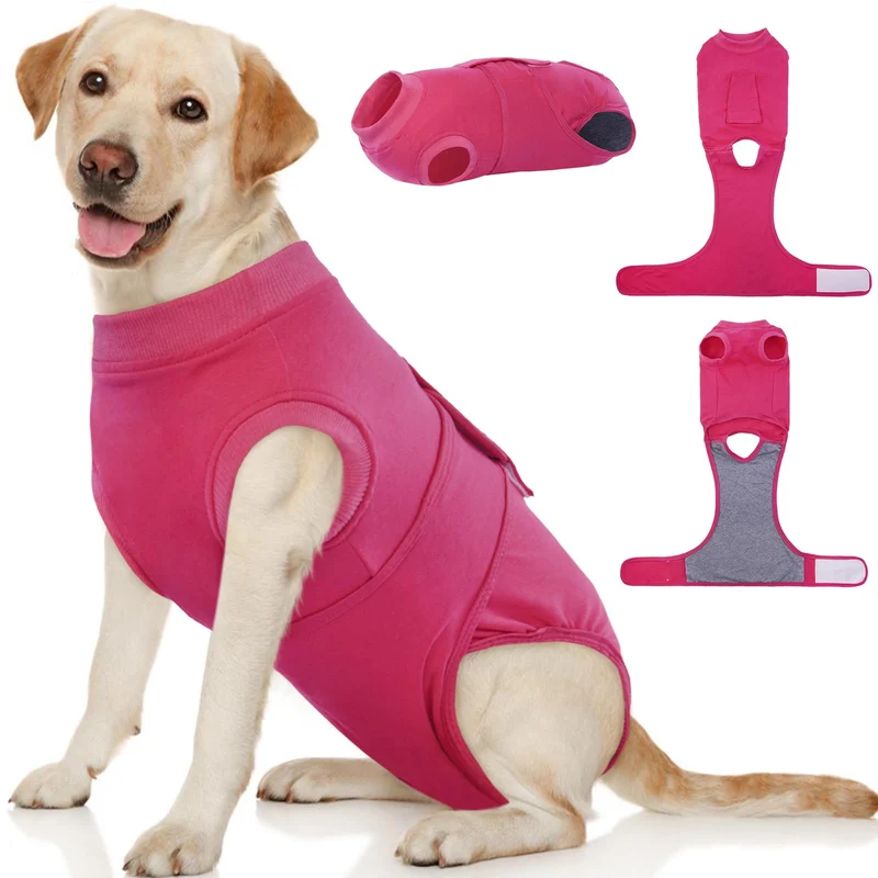 Kuoser : Combinaison de récupération pour chien après chirurgie (femelle/mâle) – Alternative au cône