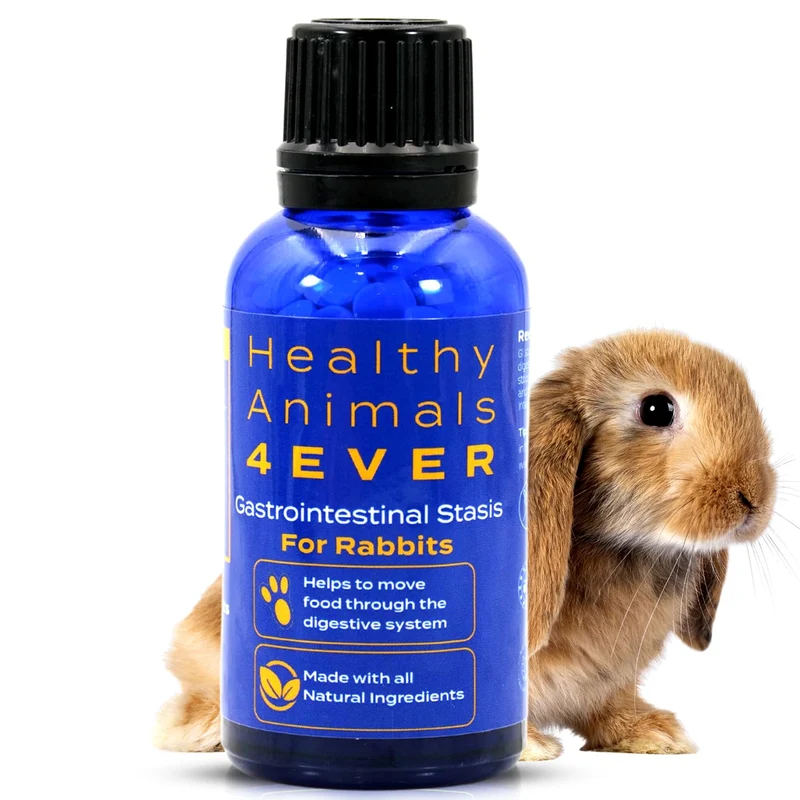 HA4E - Traitement du stase gastro-intestinal chez le lapin - Digestion saine et soutien naturel - 300 comprimés
