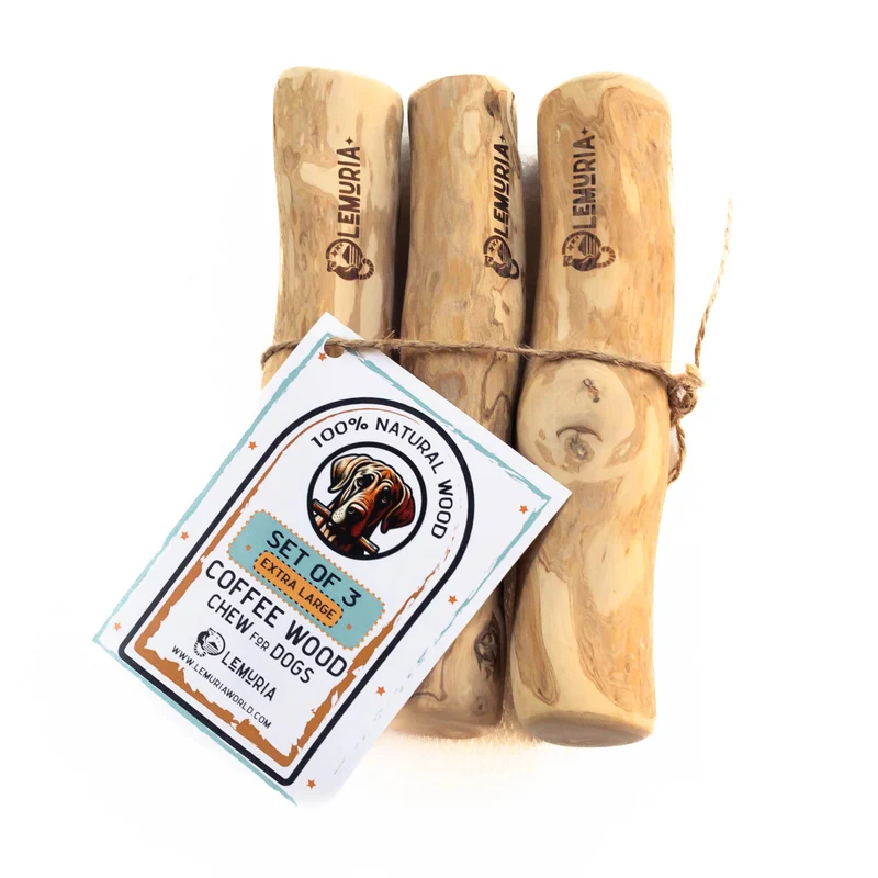 lemuria – Set de 3 Bâtons en Bois de Café pour Chiens | Jouets Naturels et Durables (Très Grand)