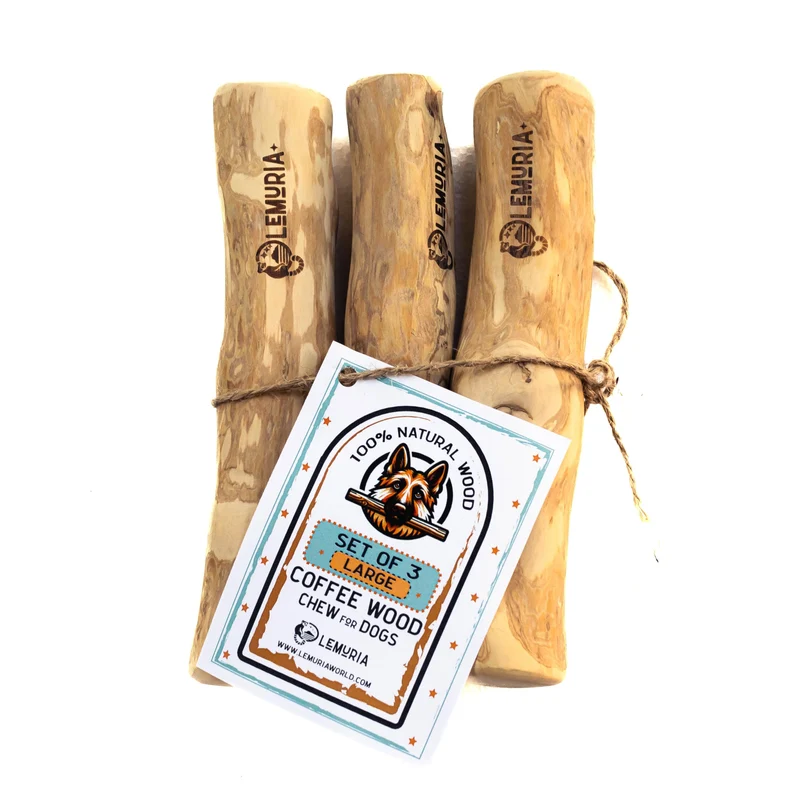 lemuria Set de 3 bâtonnets bois café pour chiens – Jouets dentaires naturels et durables (Grand)