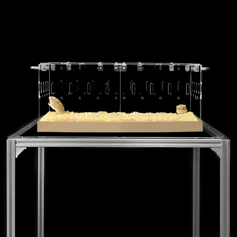 GuineaLoft™ Cage Acrylique Modèle-P3 – Petite Cage Fermée 2x1 ft