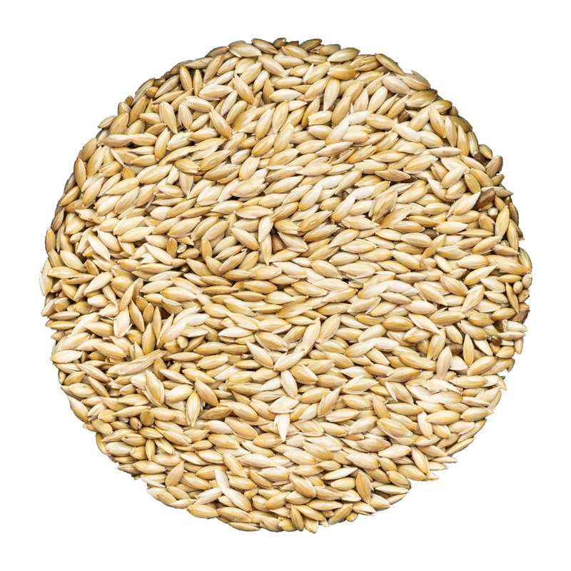 Unida Alpiste Canari – Nourriture pour Oiseaux en Vrac, 10 lb, Pure et Naturel, Sans OGM