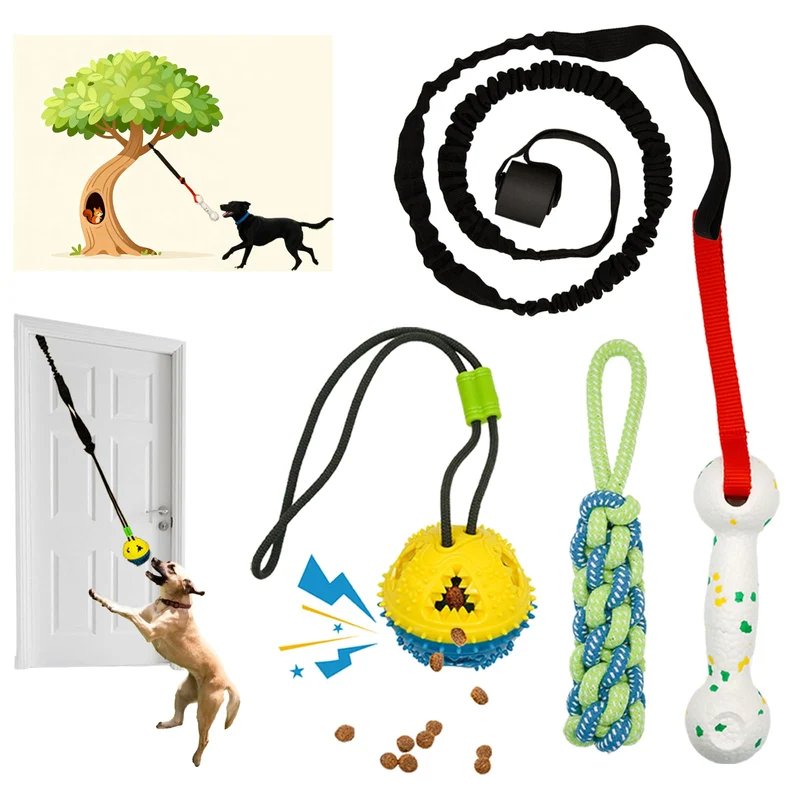 GDuolaPaws Jouet Bungee pour Chiens Petits et Moyens — Jeu Interactif Intérieur et Extérieur