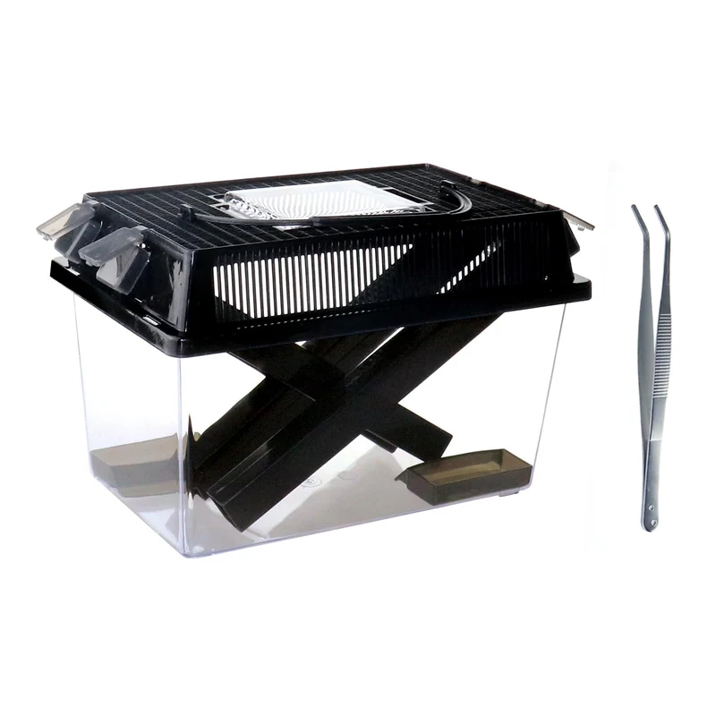 NANEEZOO Garde-grillons – Boîte transparente pour grillons avec distributeurs et abreuvoir (Grand)