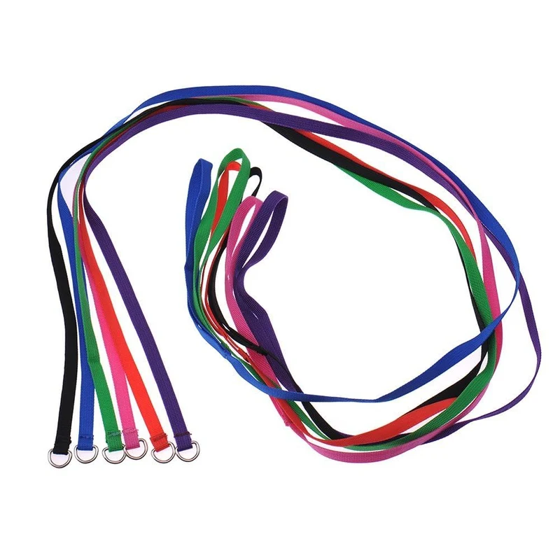 Hypeety | Lot de 6 Laisse Slip en Nylon pour Chiens et Chats – Longueur 120 cm