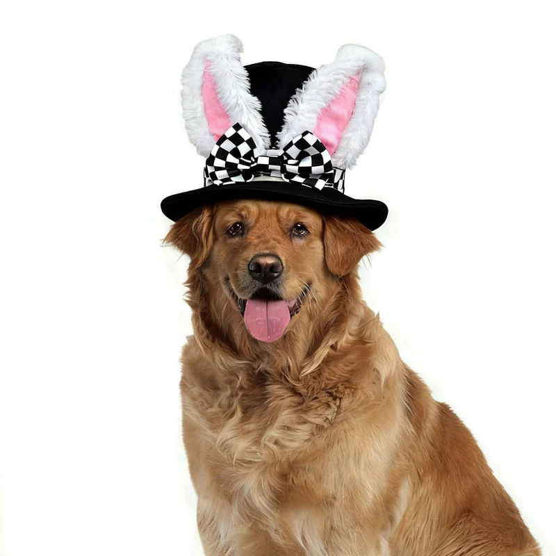 Littledropet Chapeau Lapin pour Chien — Costume Plush Halloween et Pâques (Tailles M/L)