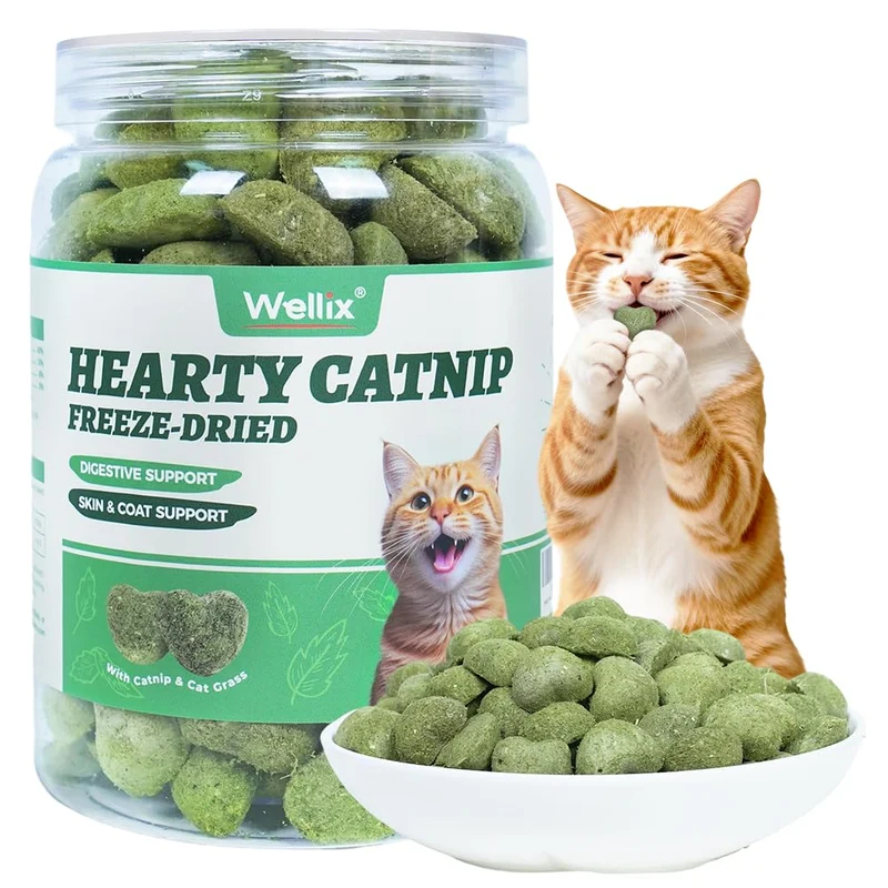 Wellix Catnip Treats Lyophilisés pour Chats — Sans céréales, Poulet, Herbe à chat et Cataire, 3oz