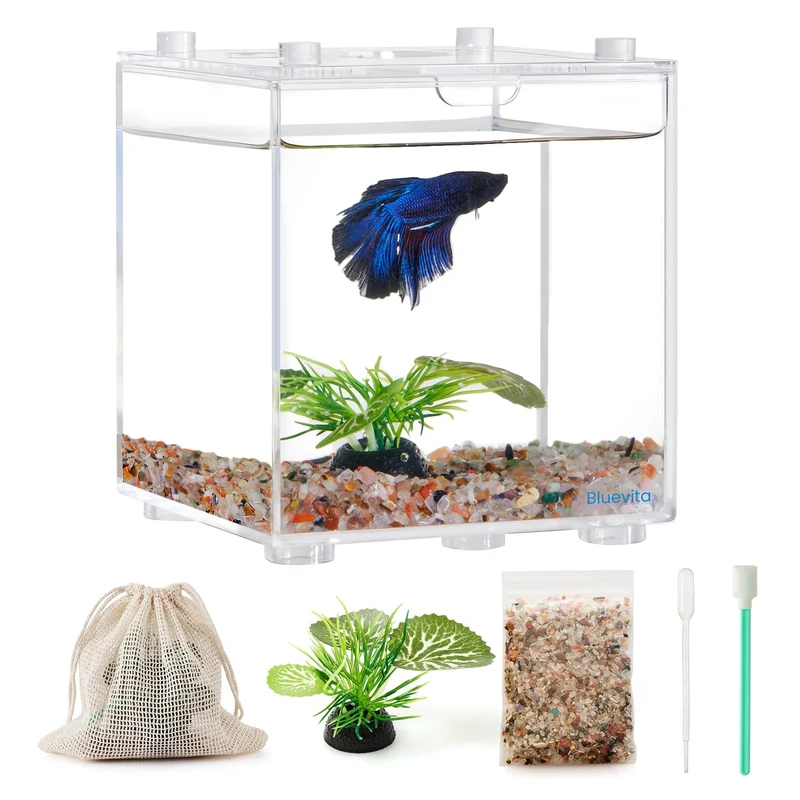 Bluevita Boîte isolante 0,2 gallon – Bac hospitalier compact pour poissons, observation et reproduction