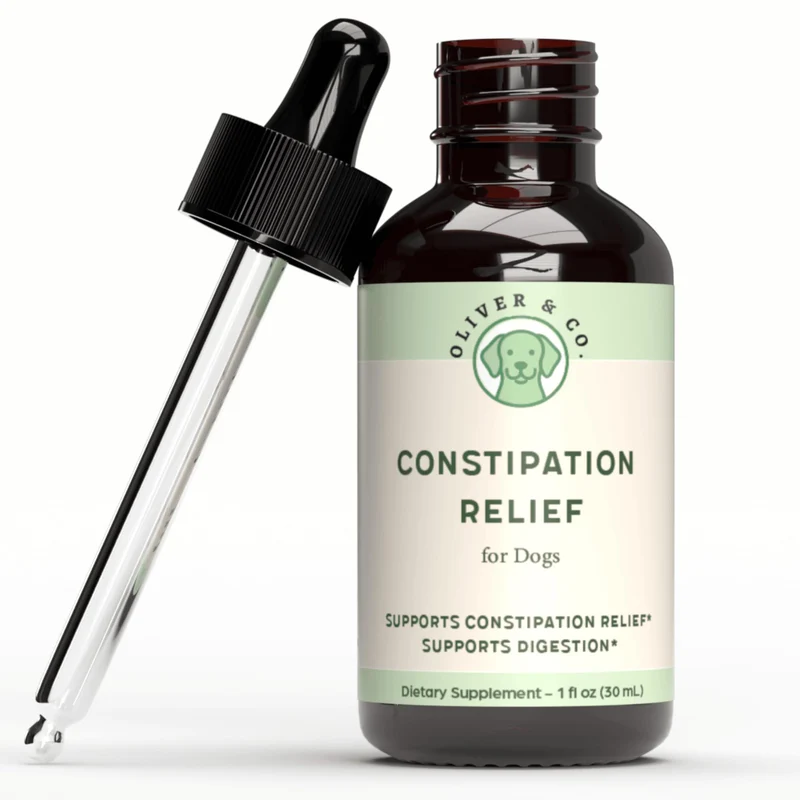 Oliver & Co. Soulagement de la constipation pour chiens – laxatif doux à la poudre Triphala, goût bacon