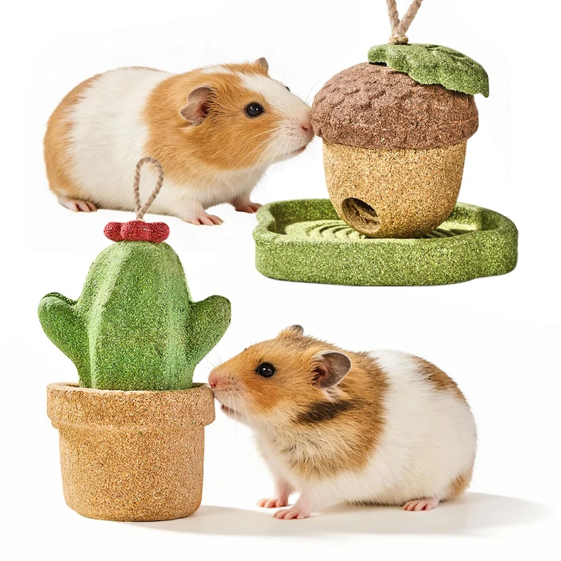 Rodizoo 2 Pack – Jouets à Mâcher pour Cobayes et Lapins, Foin Timothy & Légumes Naturels