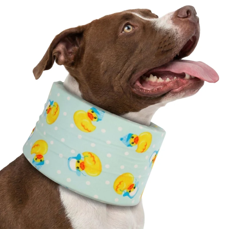 LovinPet Collier de Récupération pour Chiens Moyens et Grands – Confort Doux, Sangle Ajustable, Imprimé Canards Bleus