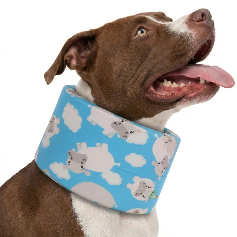 LovinPet Collier de Récupération pour Chiens | Confort Doux, Réglable, Imprimé Hippos Zoo Bleu