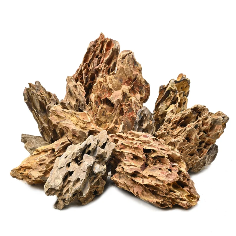 Generic Pierre d'aquarium dragon — Roche décor 5 lb pour aquascaping et terrariums