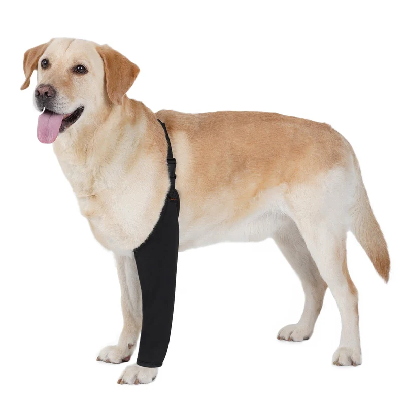 BARKLESS Combinaison de récupération pour patte avant – sans cône, taille XL, noir