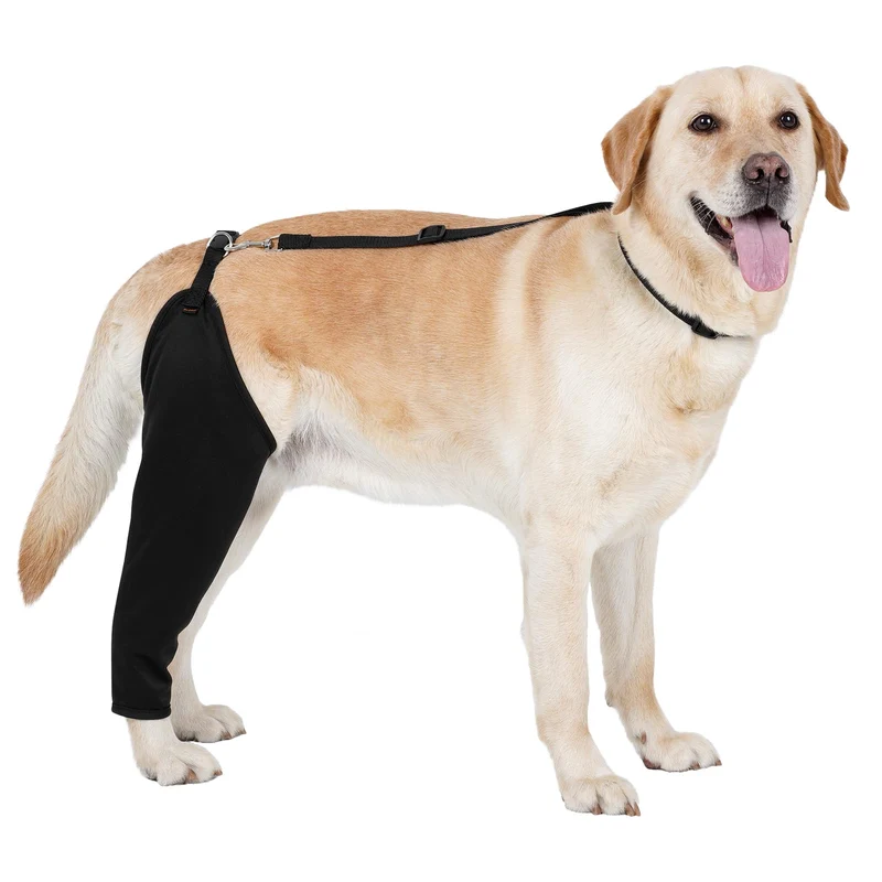 BARKLESS Manchon Patte Arriere – Protection Post-Chirurgie, Sans Cône