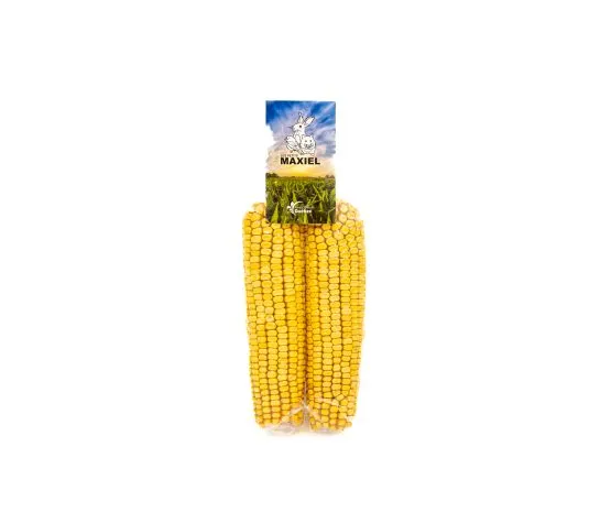 Maxiel - Pair of corn cobs - Rodent/Small animal snack