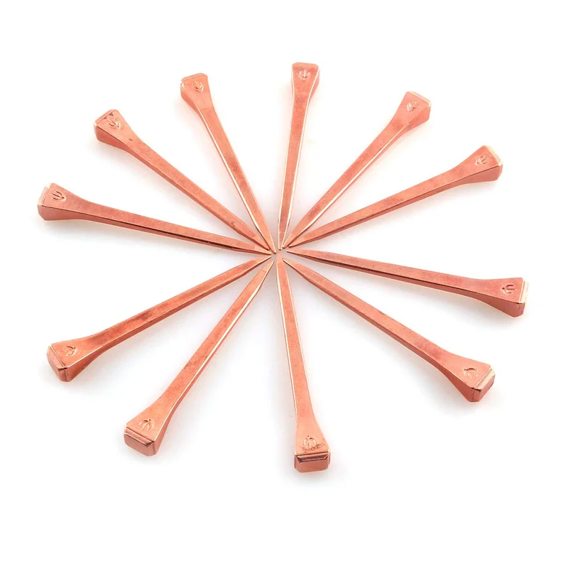 Clous Ferrés à Cheval E5 | DZS Elec – 51 mm, Acier Carbone Poli et Galvanisé, Lot de 50